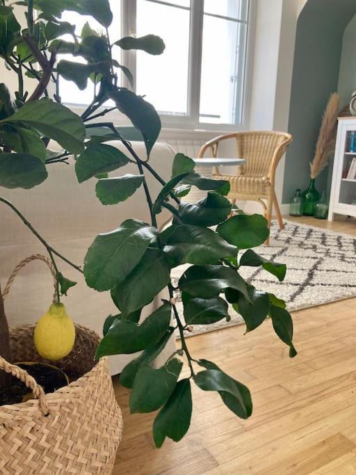 Le Citronnier Apartment Fouesnant Bagian luar foto
