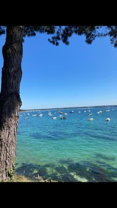 Le Citronnier Apartment Fouesnant Bagian luar foto